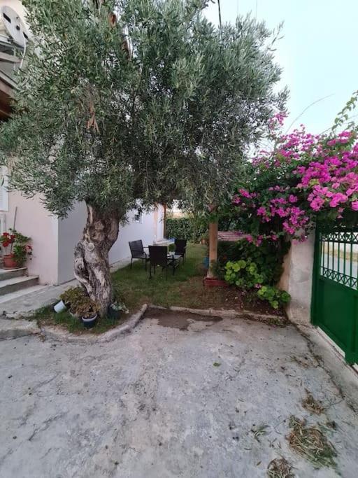 Semelia's Guest house Spáta Extérieur photo